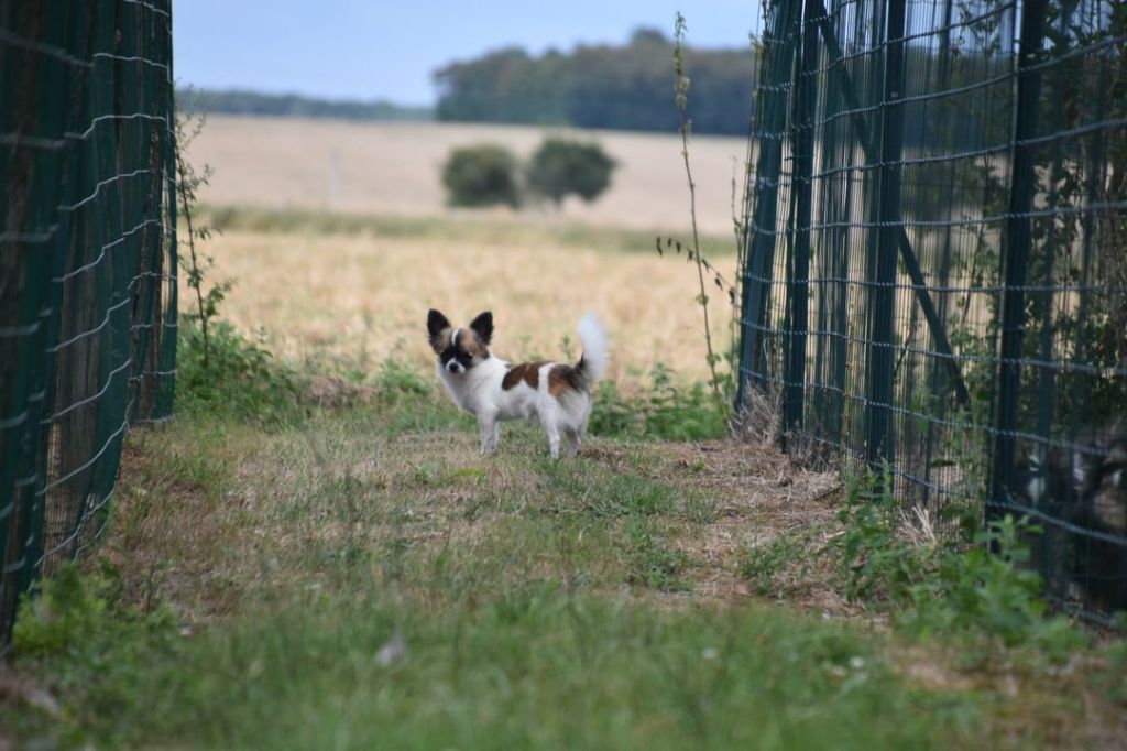 Tempo De L'Arche De Lolita