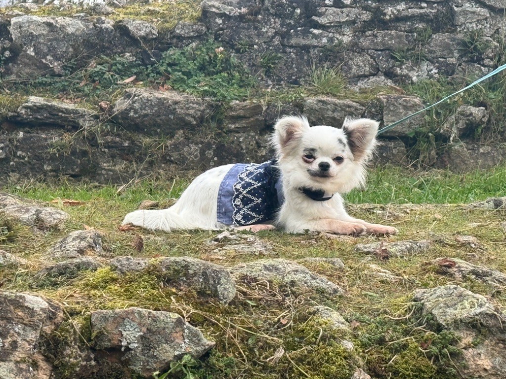 Ultra smiley Du Repère Des Poilus