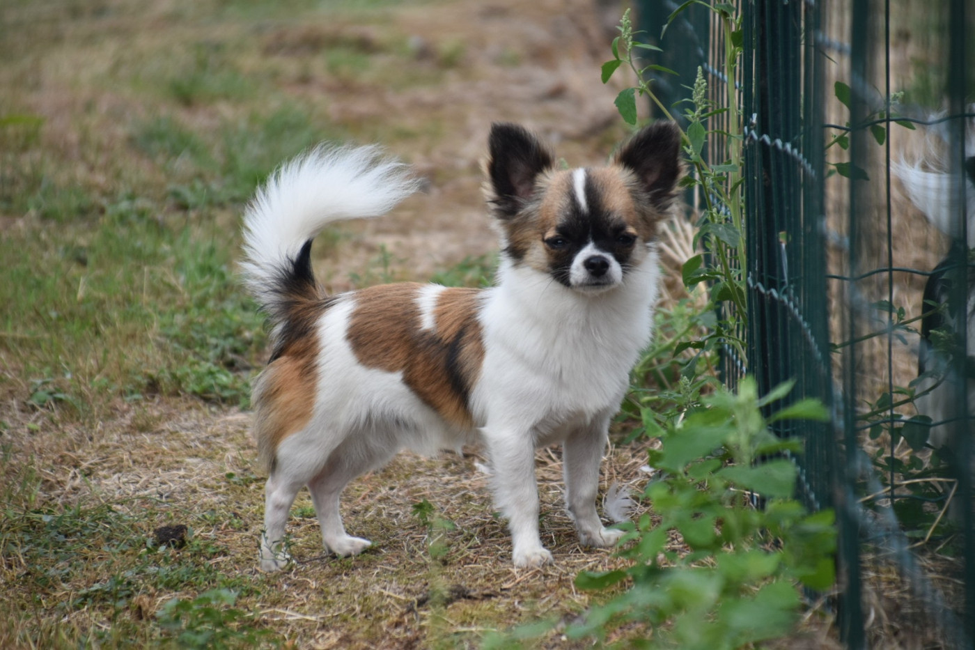 Recherche famille aimante